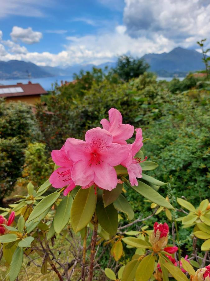 La Casa Delle Camelie Villa Stresa Luaran gambar